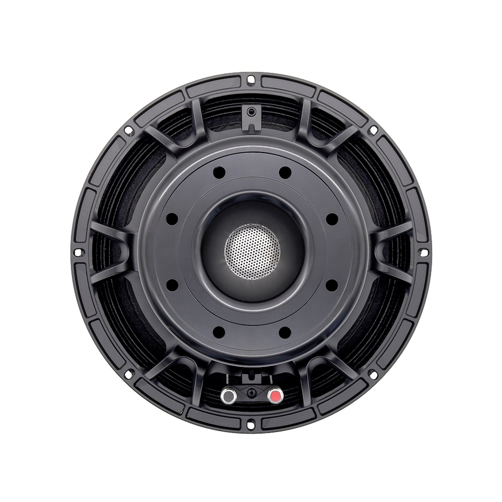 Subwoofer - معدات صوتية احترافية 12DS، مكبر صوت