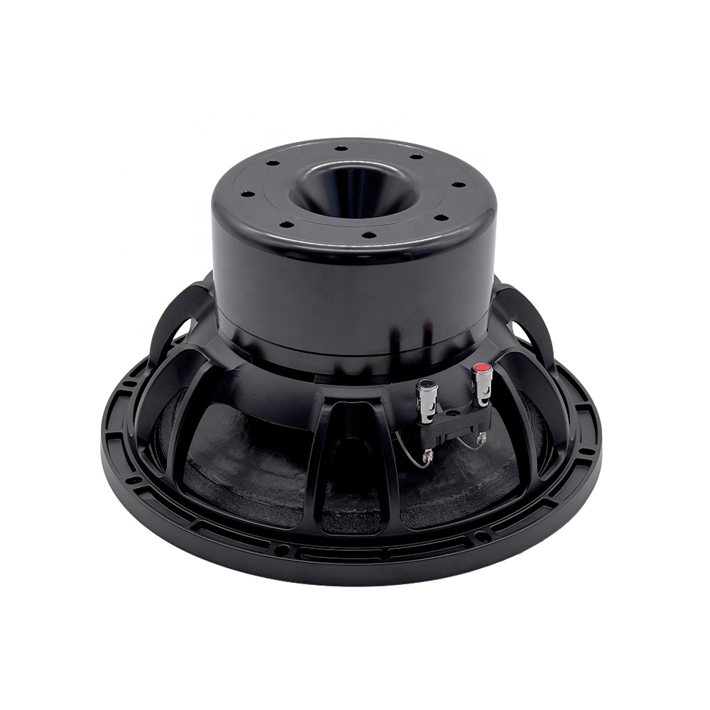 معدات صوتية احترافية 12DS، مكب - مراجعة Subwoofer وسعره